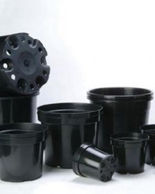 Great for pot culture and drip systems. These affordable pots are easy to move around with their designed handles. Usable with most medium types.g