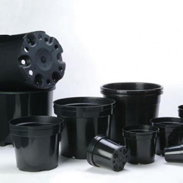 Great for pot culture and drip systems. These affordable pots are easy to move around with their designed handles. Usable with most medium types.g